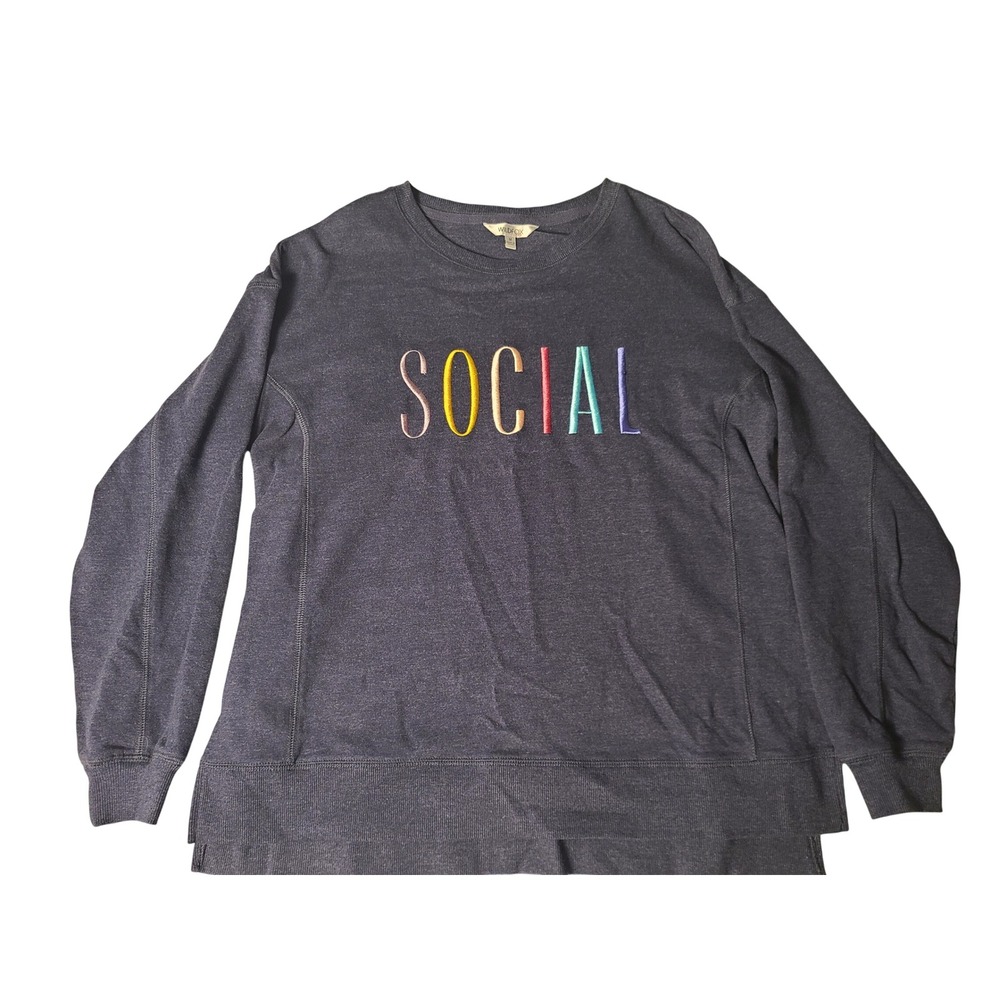 Wildfox Sweatshirt Wm M Blue "Social" Embroidered Graphic Pullover Preppy Y2K